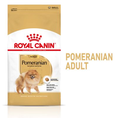 Royal Canin Breed Pomeranian Adult - oheen märkäruoka: 12 x 85 g Royal Canin Breed Pomeranian Adult